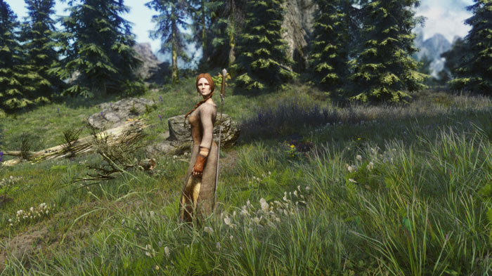 《上古卷轴5》最新MOD精美截图二(17)
