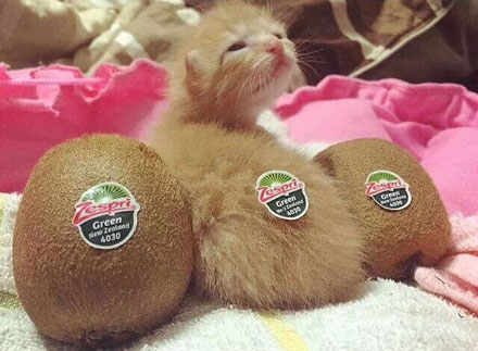 全球趣图精选第60弹(14)