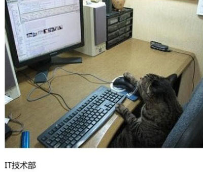 上班族各单位从业者表情萌宠版搞笑图片(16)