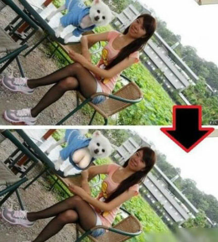 全球趣图精选第58弹(13)