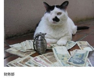 上班族各单位从业者表情萌宠版搞笑图片(11)