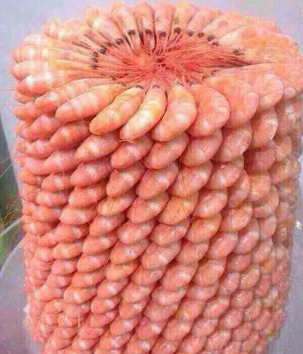 全球趣图精选第58弹(15)