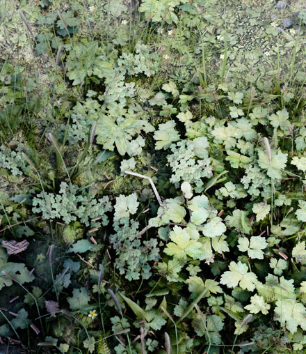 《上古卷轴5》最新MOD精美截图二(7)