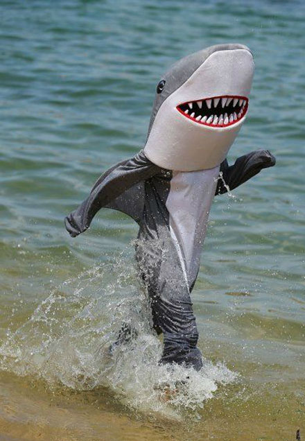 全球趣图精选第59弹(22)