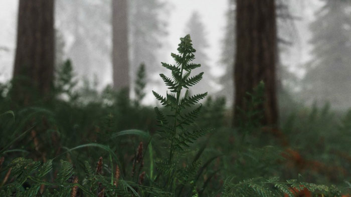 《上古卷轴5》最新MOD精美截图二(14)