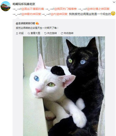 微博神最右盘点第99弹(10)