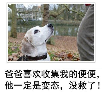 微博恶搞日式冷吐槽第四十二弹(11)