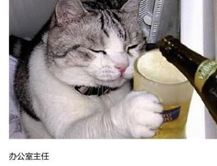 上班族各单位从业者表情萌宠版搞笑图片(6)