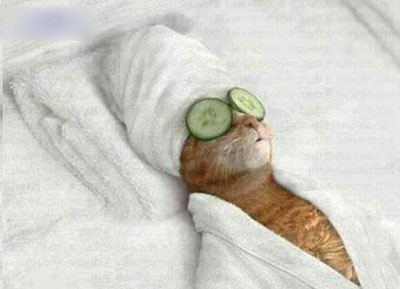 全球趣图精选第59弹(8)