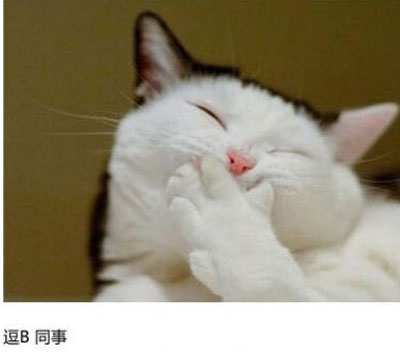 上班族各单位从业者表情萌宠版搞笑图片(19)