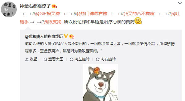 微博神最右盘点第101弹(6)