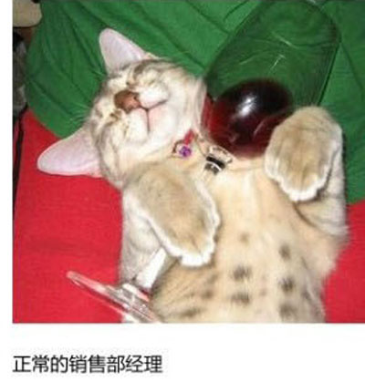 上班族各单位从业者表情萌宠版搞笑图片(13)