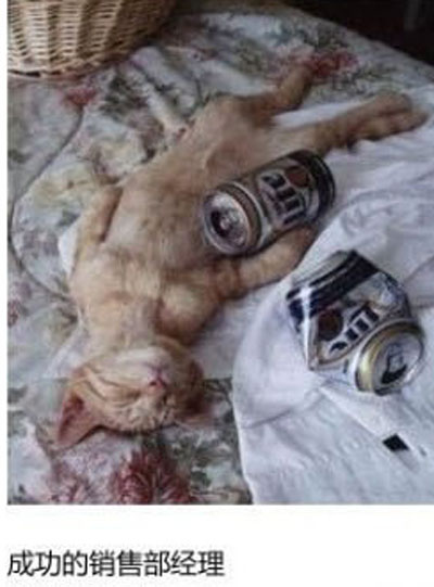 上班族各单位从业者表情萌宠版搞笑图片(12)