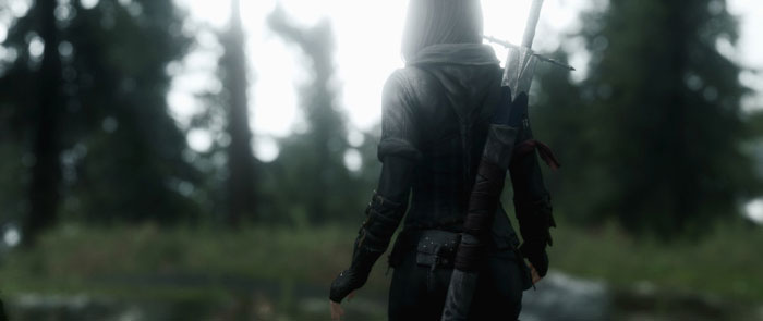 《上古卷轴5》最新MOD精美截图一(16)