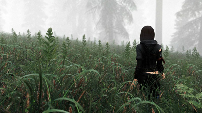 《上古卷轴5》最新MOD精美截图一(9)