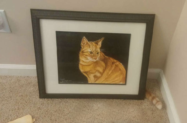 全球趣图精选第57弹(21)