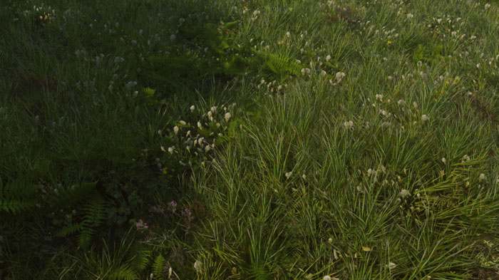 《上古卷轴5》最新MOD精美截图一(18)