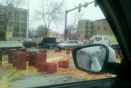 全球趣图精选第58弹(7)