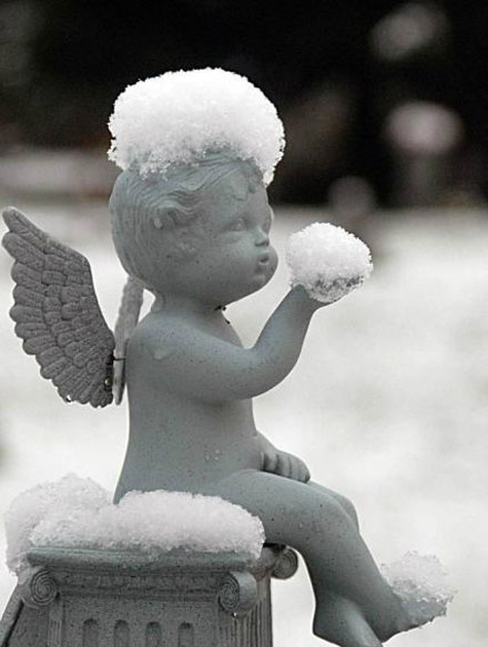 全球趣图精选第58弹(21)