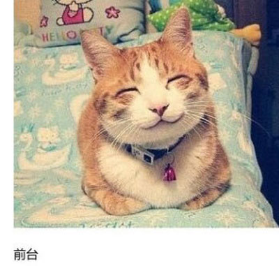 上班族各单位从业者表情萌宠版搞笑图片(20)