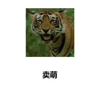 女生们的日常生活搞笑GIF(7)