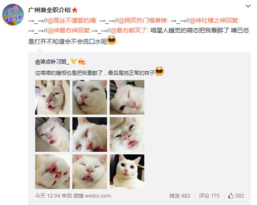 微博神最右盘点第101弹(5)