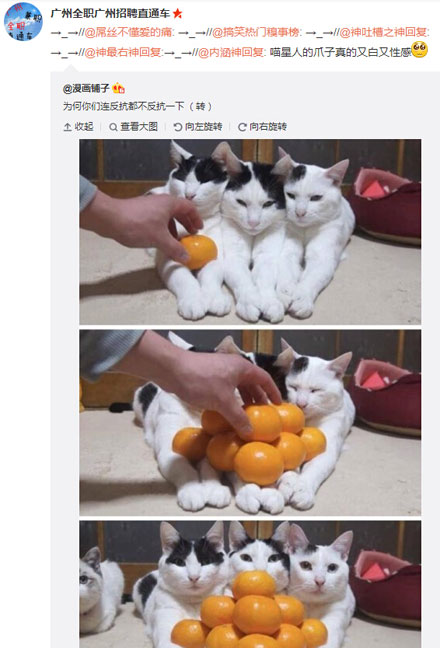 微博神最右盘点第101弹(4)