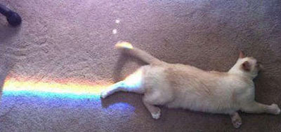 全球趣图精选第60弹(6)