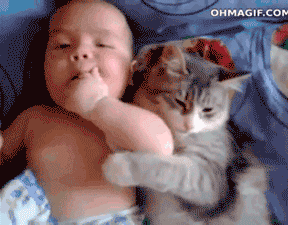 萌娃与保姆版喵星人搞笑GIF(2)