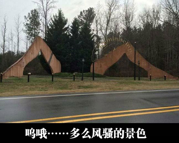 全球趣图精选第61弹(7)