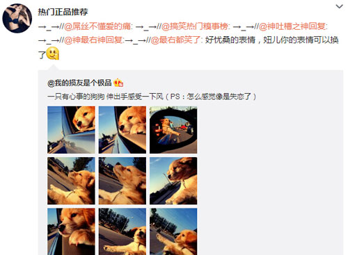 微博神最右盘点第102弹(8)