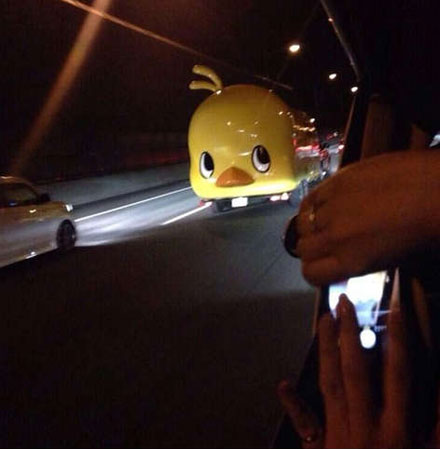 全球趣图精选第62弹(23)