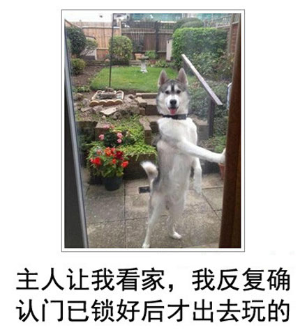 微博恶搞日式冷吐槽第四十四弹(8)