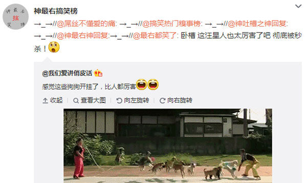 微博神最右盘点第103弹(6)