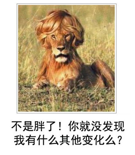 微博恶搞日式冷吐槽第四十三弹(9)