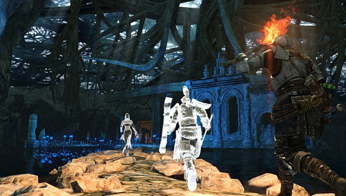 《黑暗之魂2：原罪学者》游戏截图(3)