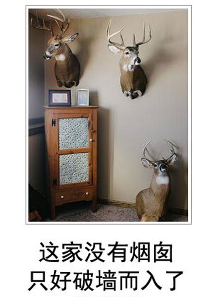 微博恶搞日式冷吐槽第四十三弹(14)