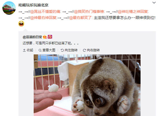 微博神最右盘点第103弹(8)