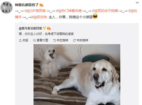 微博神最右盘点第103弹(5)