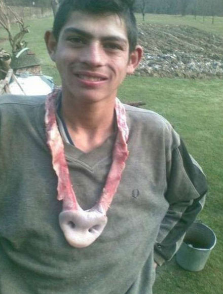 全球趣图精选第62弹(18)