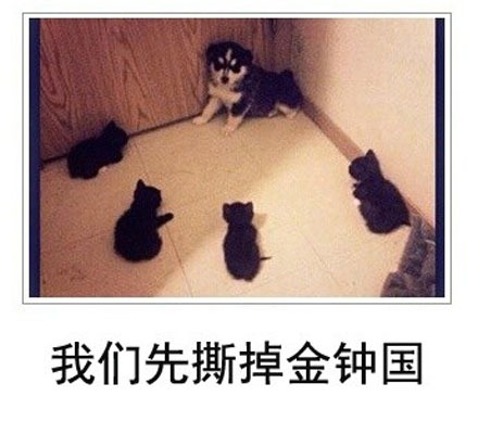 微博恶搞日式冷吐槽第四十四弹(7)