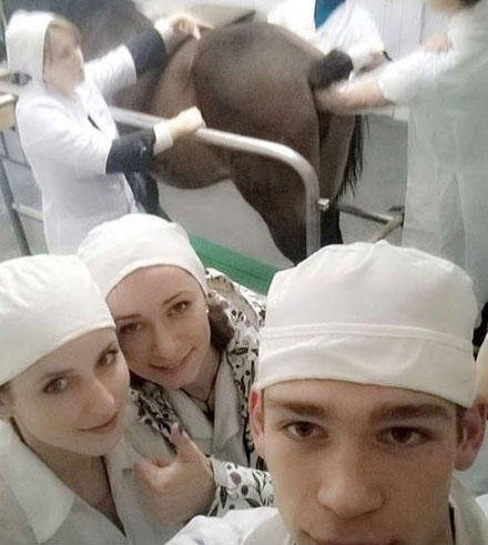 全球趣图精选第62弹(24)