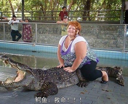 全球趣图精选第62弹(22)