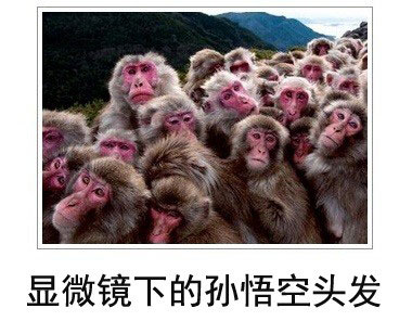 微博恶搞日式冷吐槽第四十四弹(3)