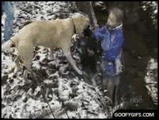 逗比萌宠的坑爹日常搞笑GIF(8)