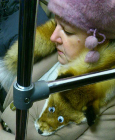 全球趣图精选第62弹(4)