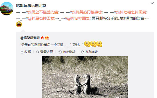 微博神最右盘点第103弹(11)