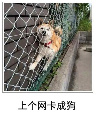 微博恶搞日式冷吐槽第四十四弹(11)