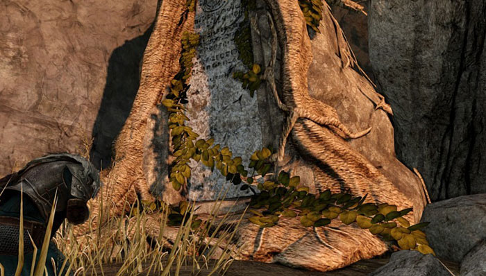 《黑暗之魂2：原罪学者》游戏截图(11)