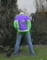 逗比萌宠的坑爹日常搞笑GIF(3)